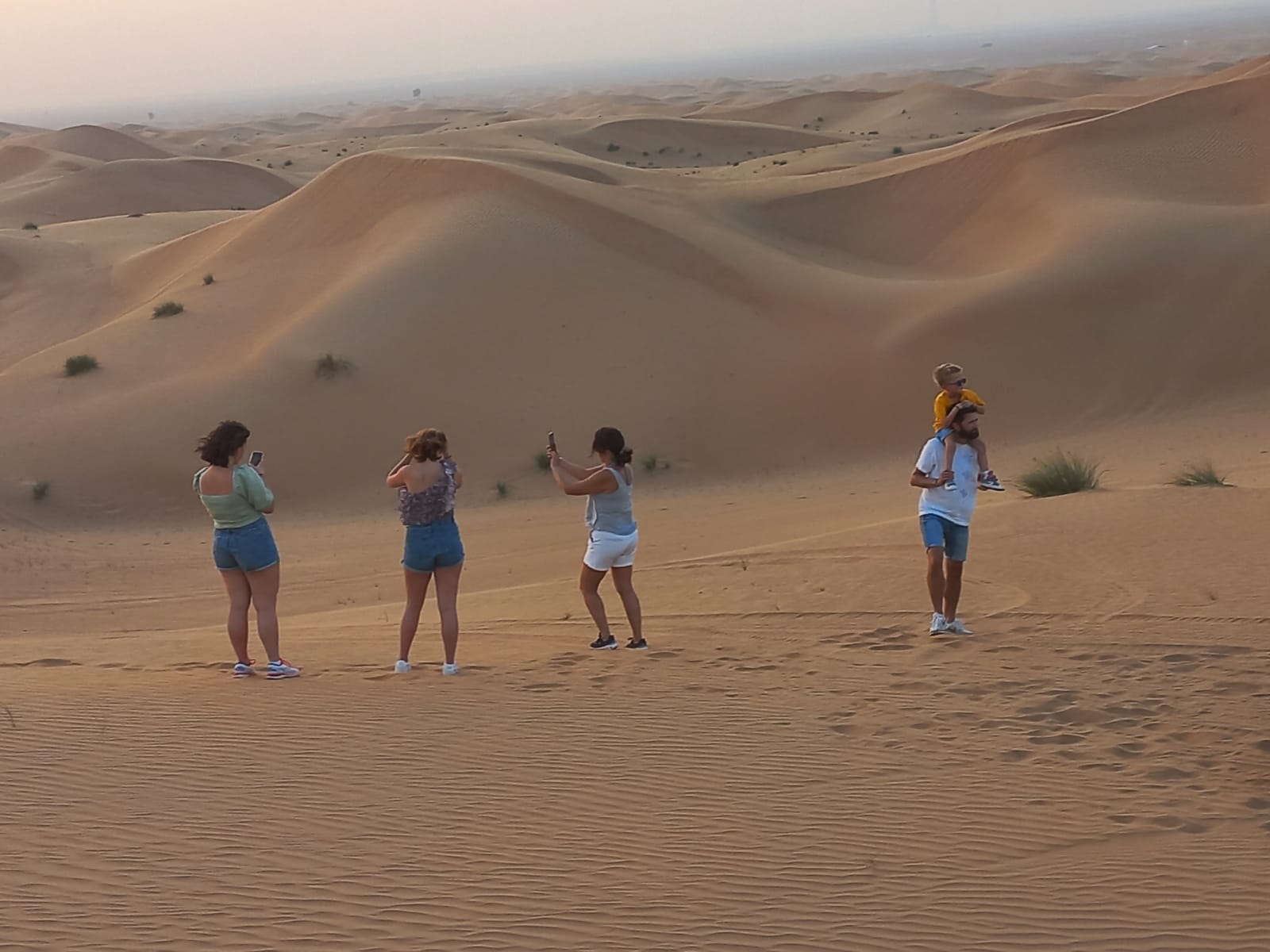 desert safari