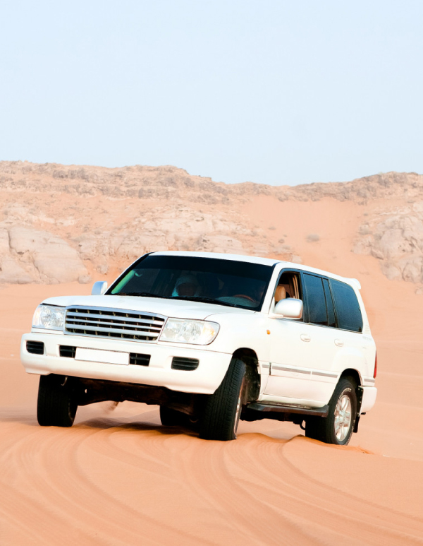 Desert safari&sand bashing