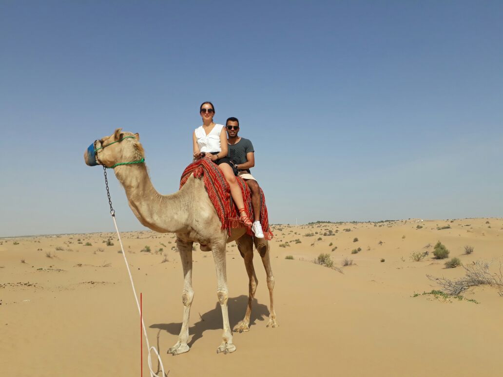 camel safari in dubai