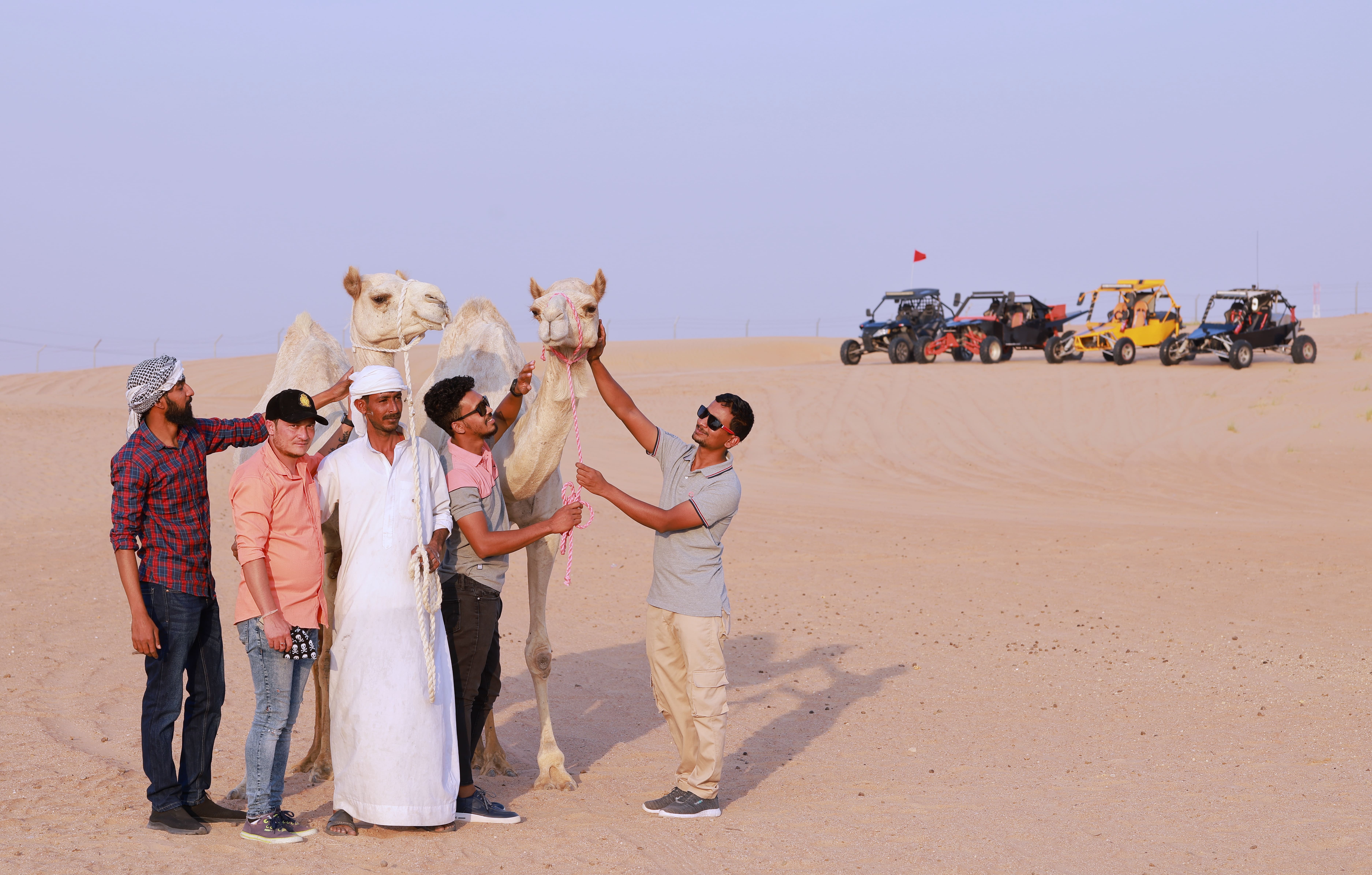 camel farm visit in dubai