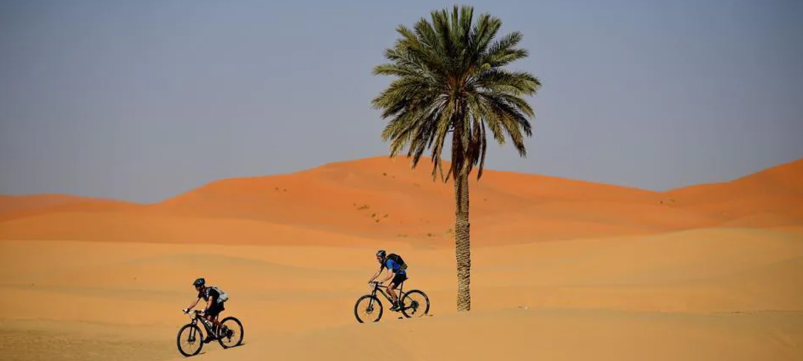 fat bike in desert